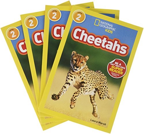 Book cover for Cheetahs (4 Paperback/1 CD)
