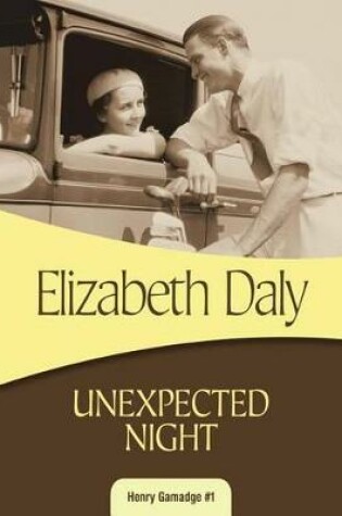 Cover of Unexpected Night