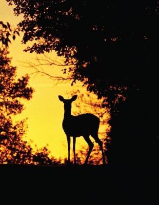 Book cover for Doe a Deer Blank Sketchbook