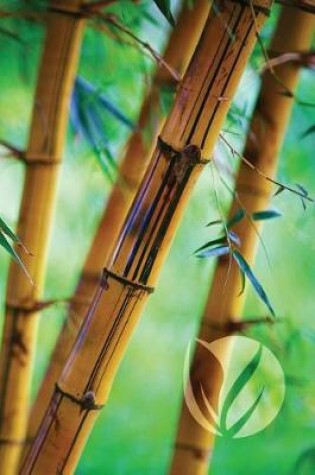 Cover of Bamboo Forest Journal