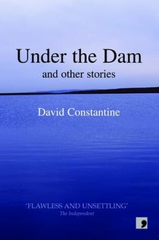 Cover of Under the Dam