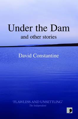 Book cover for Under the Dam