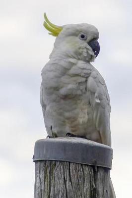 Book cover for Proud Cockatoo Journal