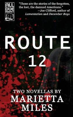 Book cover for Route 12