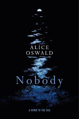 Book cover for Nobody