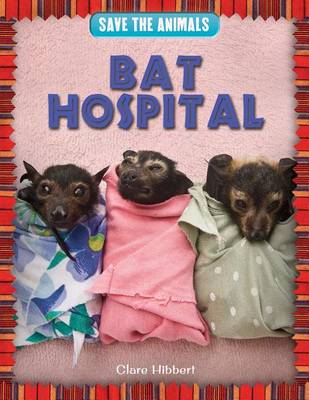 Book cover for Bat Hospital