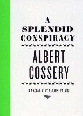 Book cover for A Splendid Conspiracy