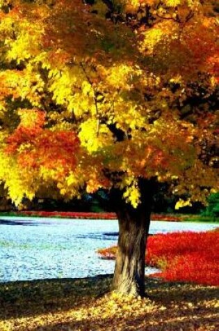 Cover of Journal Bright Beautiful Autumn Tree Fall Foliage