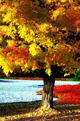 Cover of Journal Bright Beautiful Autumn Tree Fall Foliage