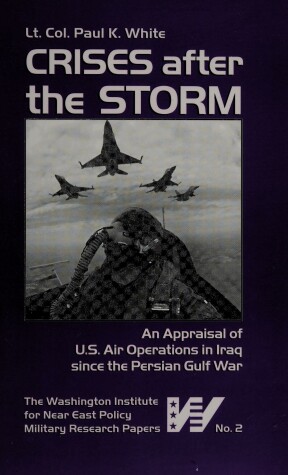 Book cover for Crises After the Storm