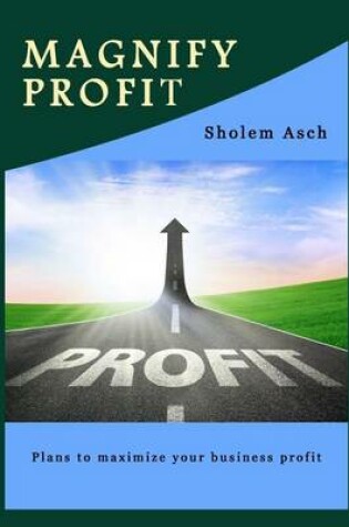 Cover of Magnify Profit