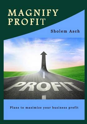 Book cover for Magnify Profit