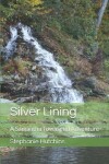 Book cover for Silver Lining