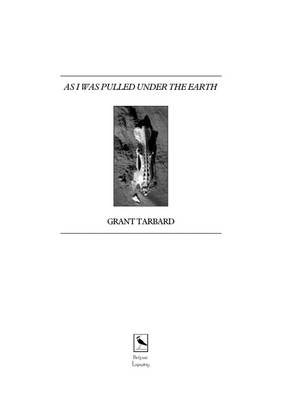 Book cover for As I Was Pulled Under the Earth