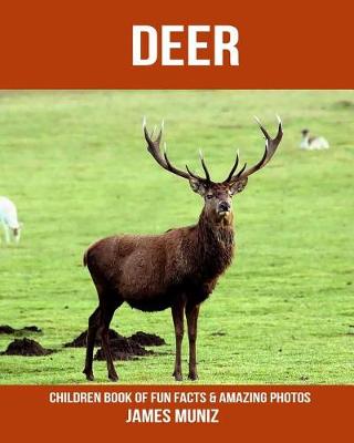 Book cover for Deer