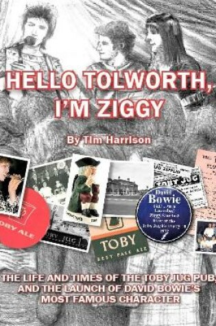 Cover of Hello Tolworth, I'm Ziggy