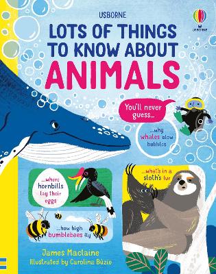 Book cover for Lots of Things to Know About Animals