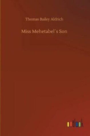 Cover of Miss Mehetabel´s Son