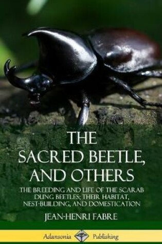 Cover of The Sacred Beetle, and Others: The Breeding and Life of the Scarab Dung Beetles; their Habitat, Nest-Building, and Domestication (Hardcover)