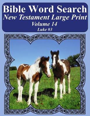 Book cover for Bible Word Search New Testament Large Print Volume 14