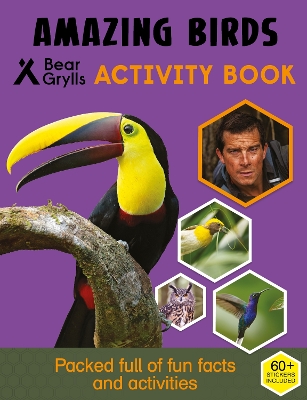 Book cover for Bear Grylls Sticker Activity: Amazing Birds