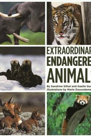 Cover of Extraordinary Endangered Animals