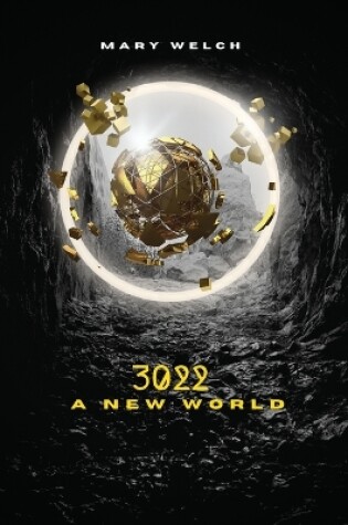 Cover of 3022