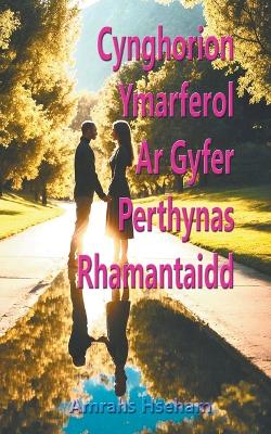 Book cover for Cynghorion Ymarferol Ar Gyfer Perthynas Rhamantaidd