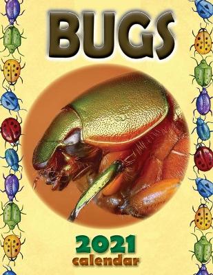 Book cover for Bugs 2021 Calendar