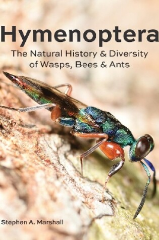 Cover of Hymenoptera