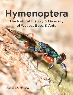 Book cover for Hymenoptera