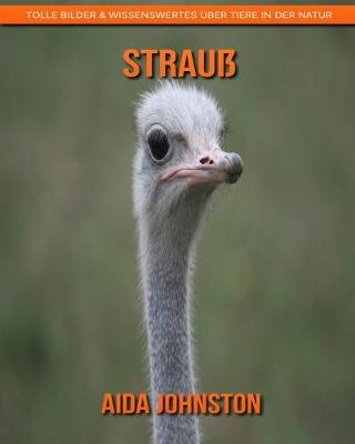 Book cover for Strauß