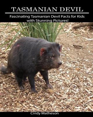 Book cover for Tasmanian Devil