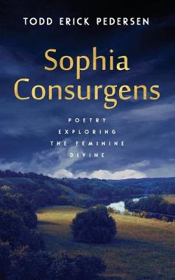 Book cover for Sophia Consurgens