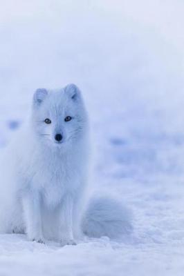 Book cover for Arctic Fox