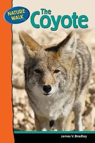Cover of The Coyote
