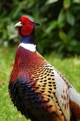 Book cover for Magnificent Colored Pheasant in the Grass Journal