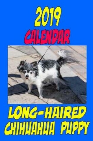 Cover of 2019 Calendar Long-Haired Chihuahua Puppy