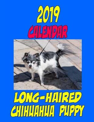 Book cover for 2019 Calendar Long-Haired Chihuahua Puppy