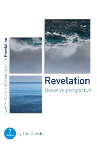 Cover of Revelation: Heaven's perspective