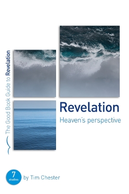 Book cover for Revelation: Heaven's perspective