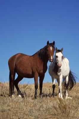 Book cover for Equine Journal Horse Buddies