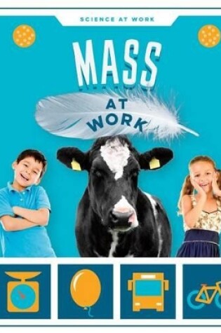 Cover of Mass at Work
