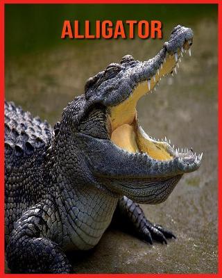 Book cover for Alligator