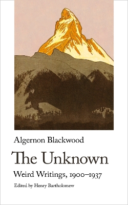 Book cover for The Unknown