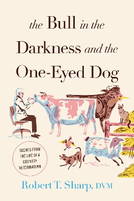 Cover of The Bull in the Darkness and the One-Eyed Dog