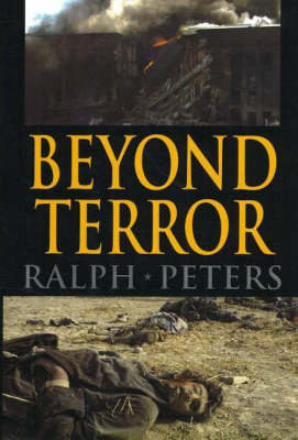 Book cover for Beyond Terror