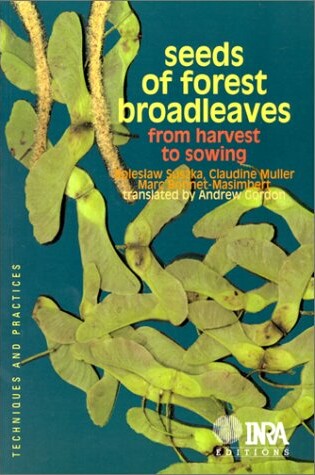 Cover of Seeds of Forest Broadleaves: from Harvest to Sowing