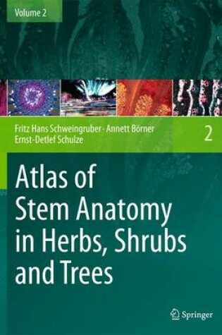 Cover of Atlas of Stem Anatomy in Herbs, Shrubs and Trees