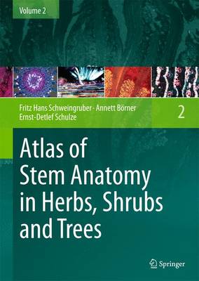 Book cover for Atlas of Stem Anatomy in Herbs, Shrubs and Trees